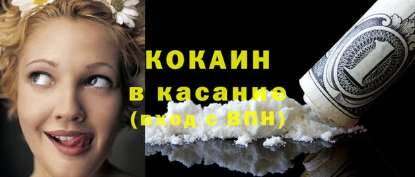 дмт Богородицк