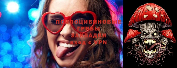 ECSTASY Бронницы