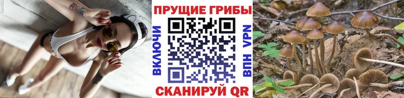 Псилоцибиновые грибы Magic Shrooms  Юхнов 